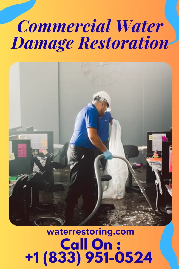 Commercial Water Damage Restoration in Sedgwick, KS